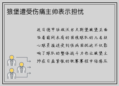 狼堡遭受伤痛主帅表示担忧